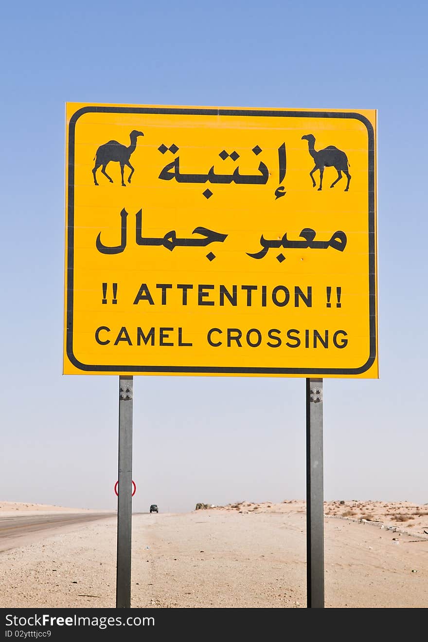 Motorists should beware of camels crossing the road in the desert. Motorists should beware of camels crossing the road in the desert.