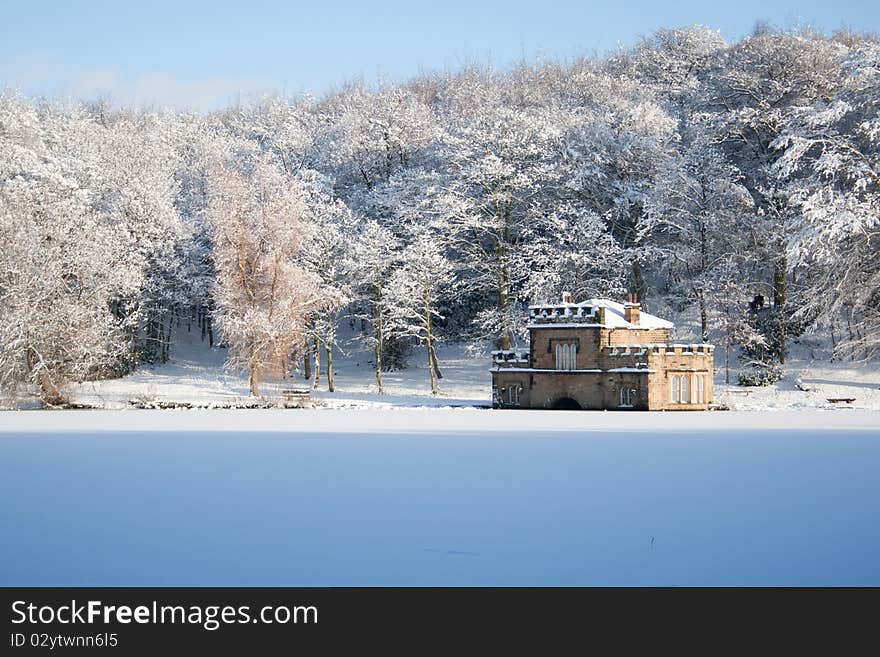 Frozen lake and snow covered trees in sun