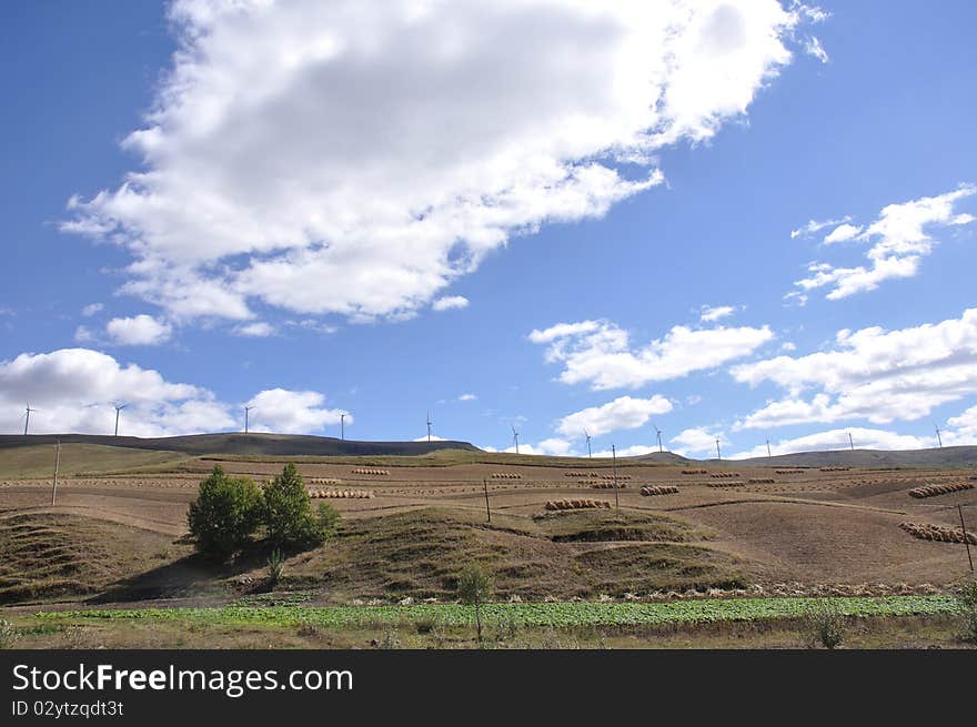 windmills in a field