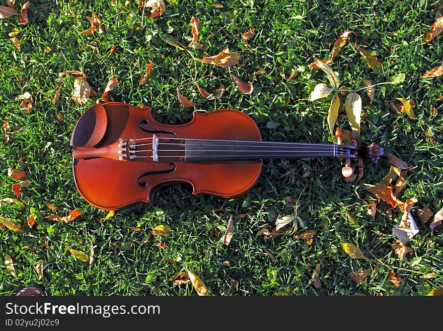 Violin On The Grass