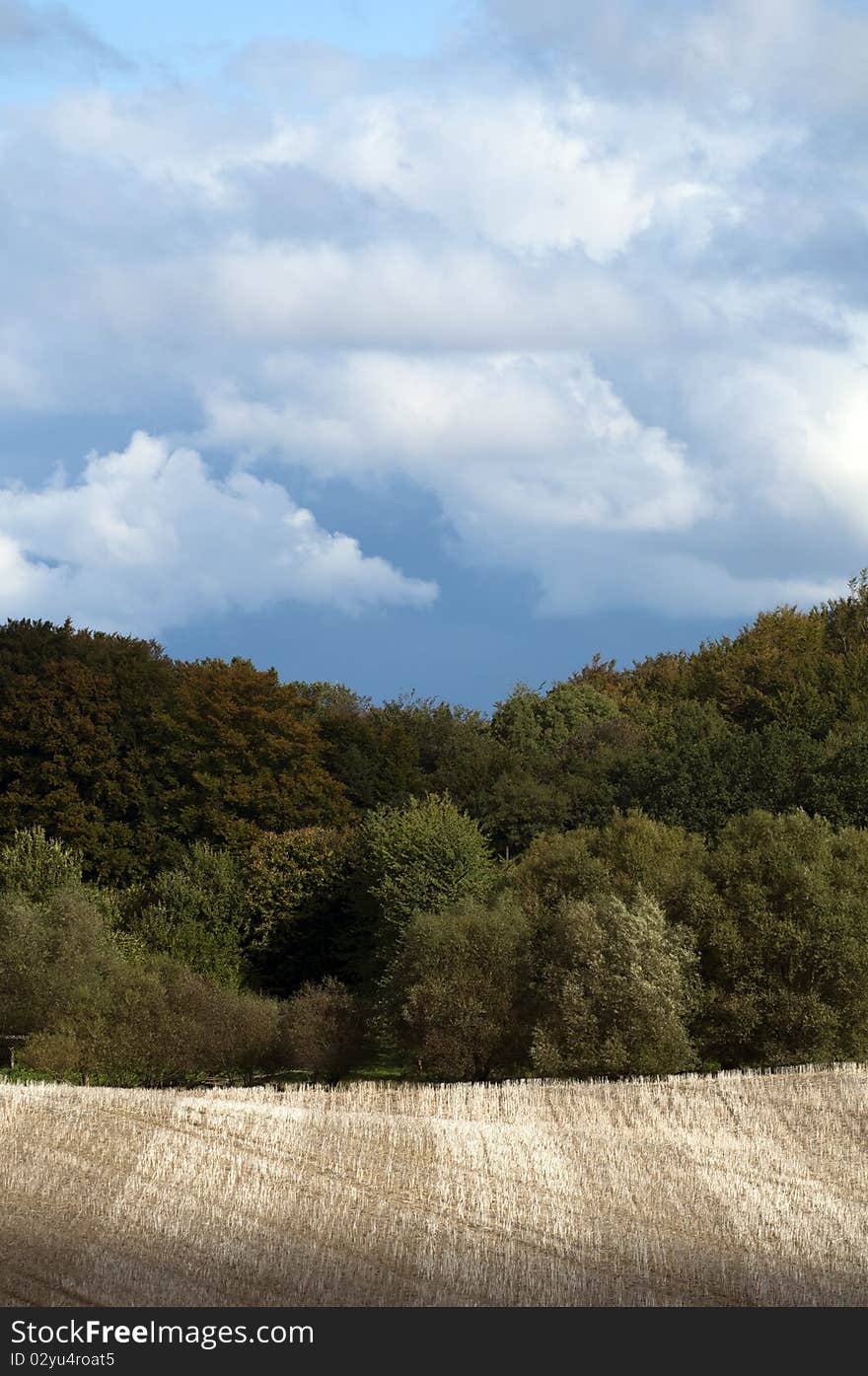 Autumn Landscape