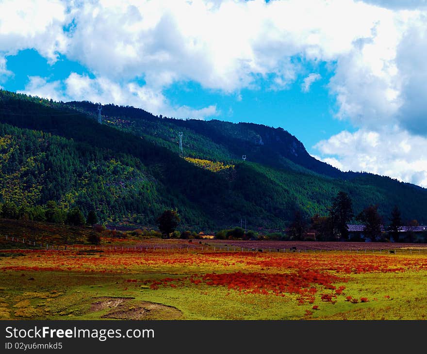 The Ranch In Shangri-La