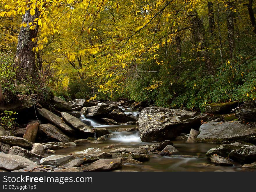 Autumn foliage over Little Pigeon River