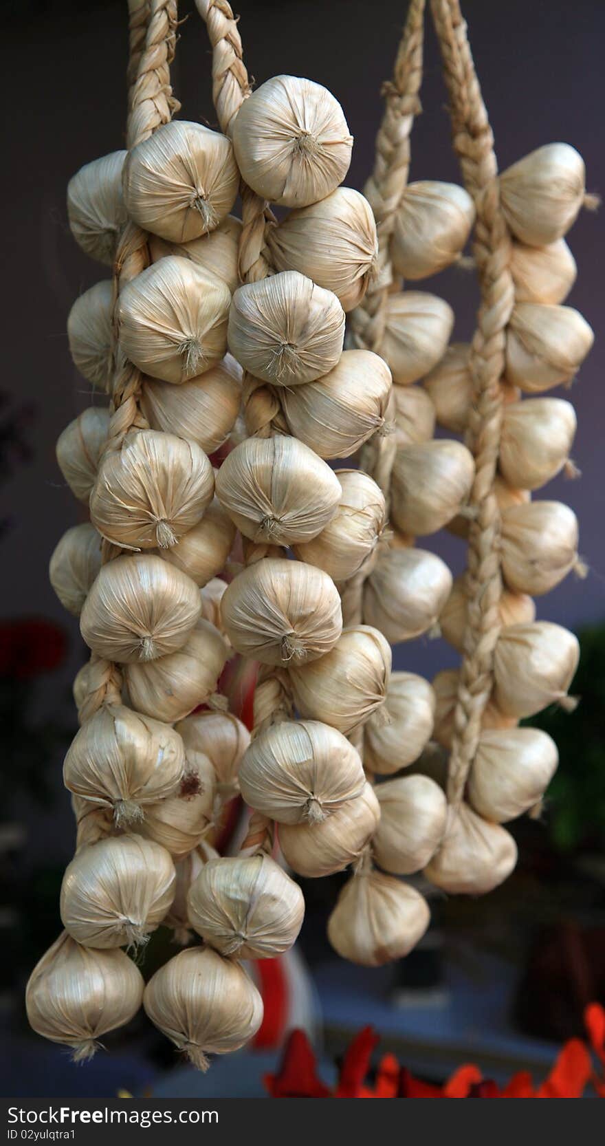 Decorative garlic garlend