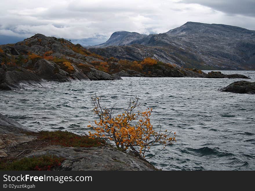 Lake In Rago National Park