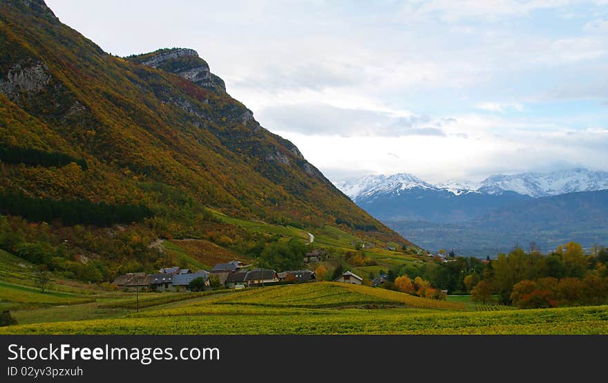 Savoyard vineyard