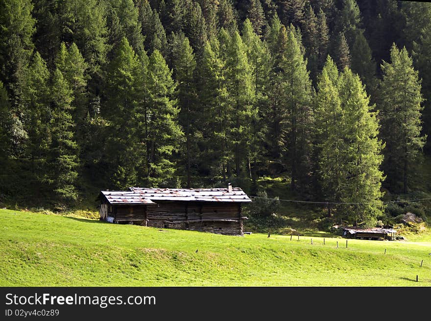 House in the meadow