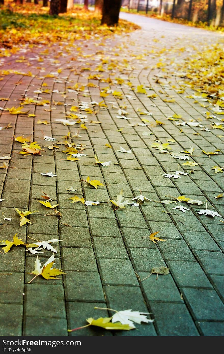 Brick road in the park covered with yellow fallen leaves. Brick road in the park covered with yellow fallen leaves