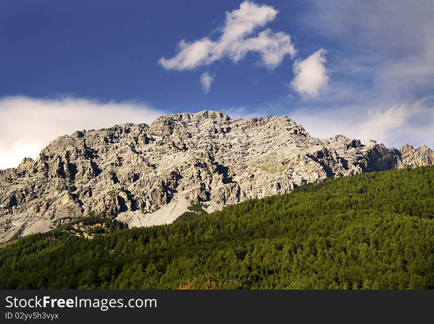 Mountains with thick pine forest