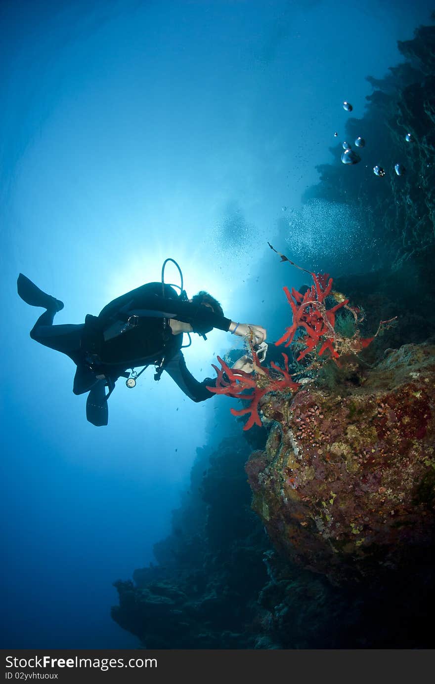 Adult Male Scuba Diver Photograhing Underwater.