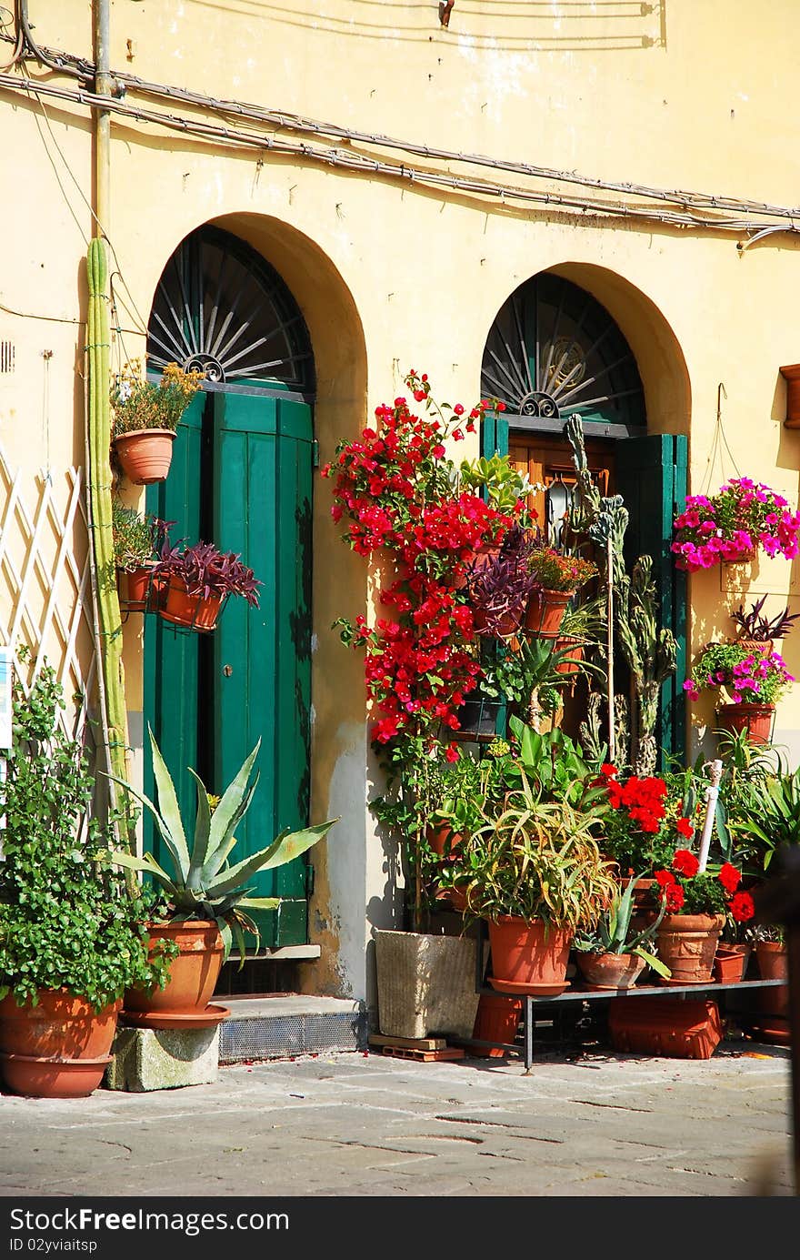 Potted plants displayed on the front steps of a Lucca doorway. Potted plants displayed on the front steps of a Lucca doorway