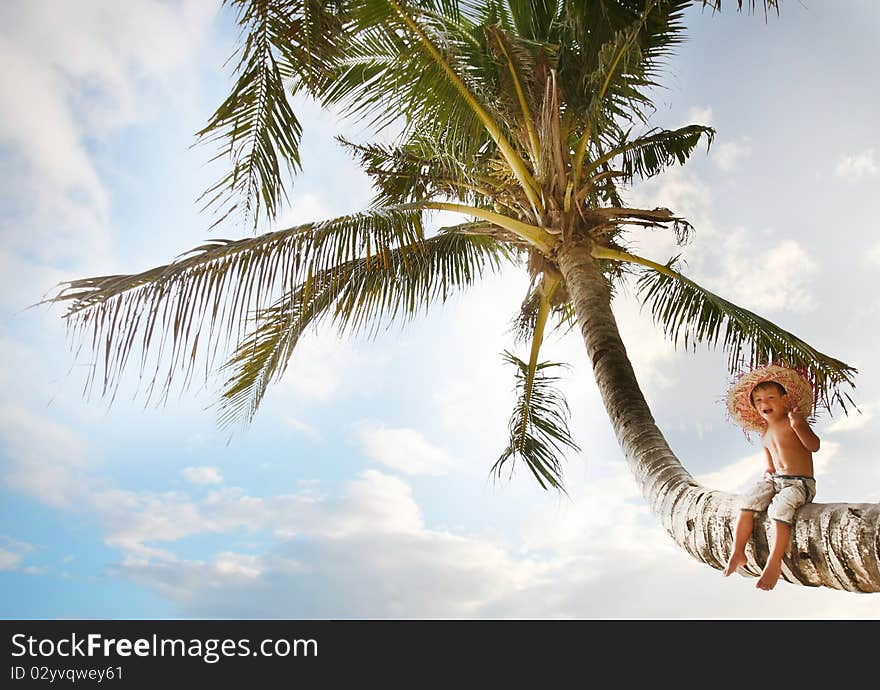 Boy sitting on palm tree over sky background