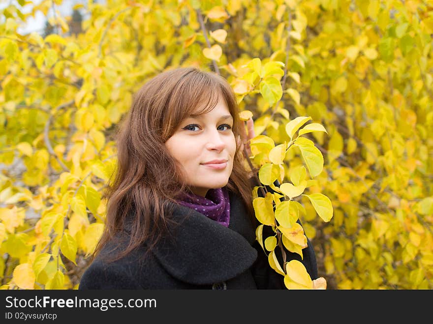 Portrait of the young girl in the autumn