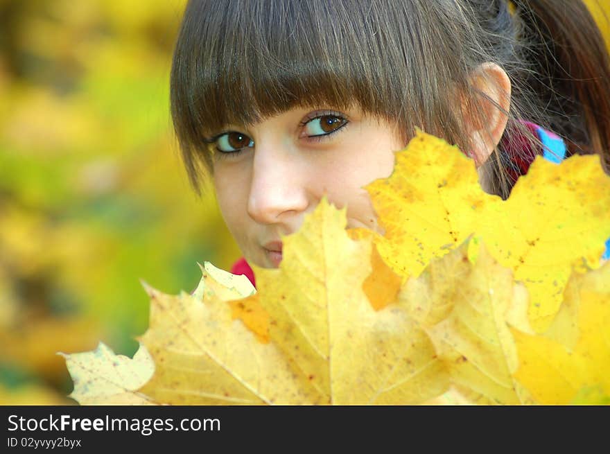 A girl hidden behind autumn leaves. A girl hidden behind autumn leaves