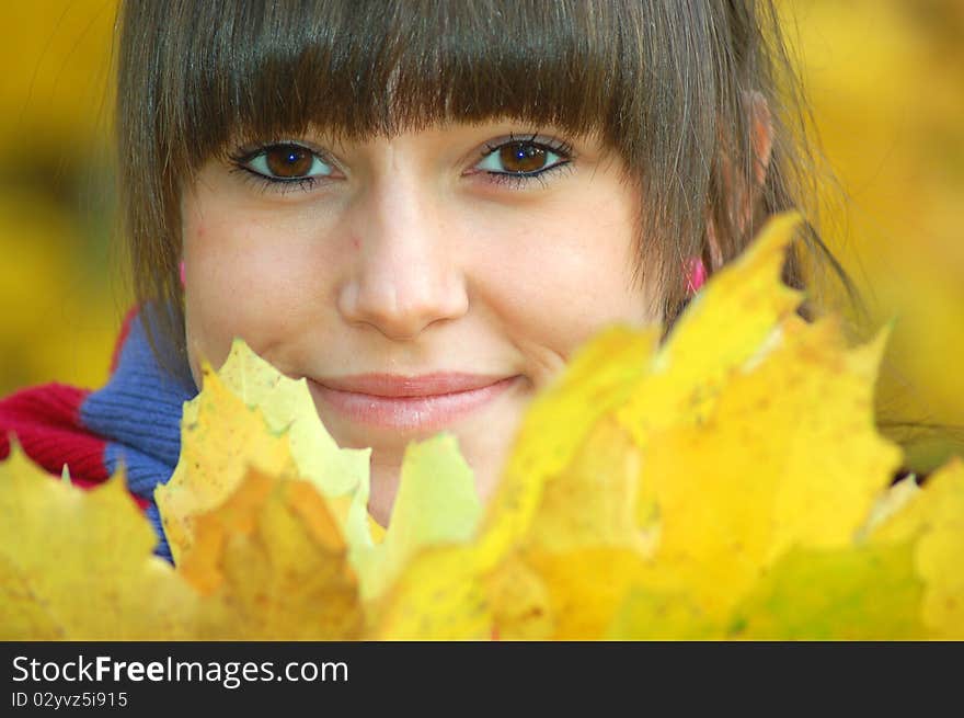 A girl hidden behind autumn leaves. A girl hidden behind autumn leaves