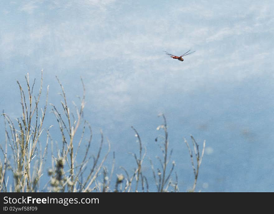 A textured image of a Flame Skimmer dragonfly flying upon the pretty blue sky and clouds background. A textured image of a Flame Skimmer dragonfly flying upon the pretty blue sky and clouds background.