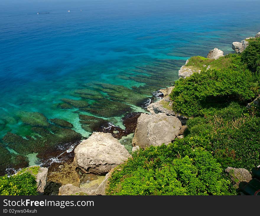 Coral reef and sea