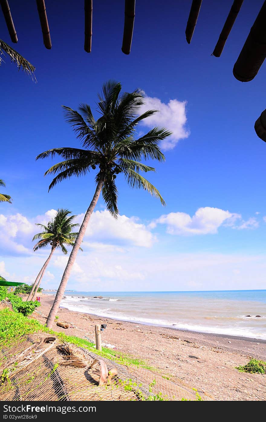 Beautiful island beach in the tropics. Beautiful island beach in the tropics