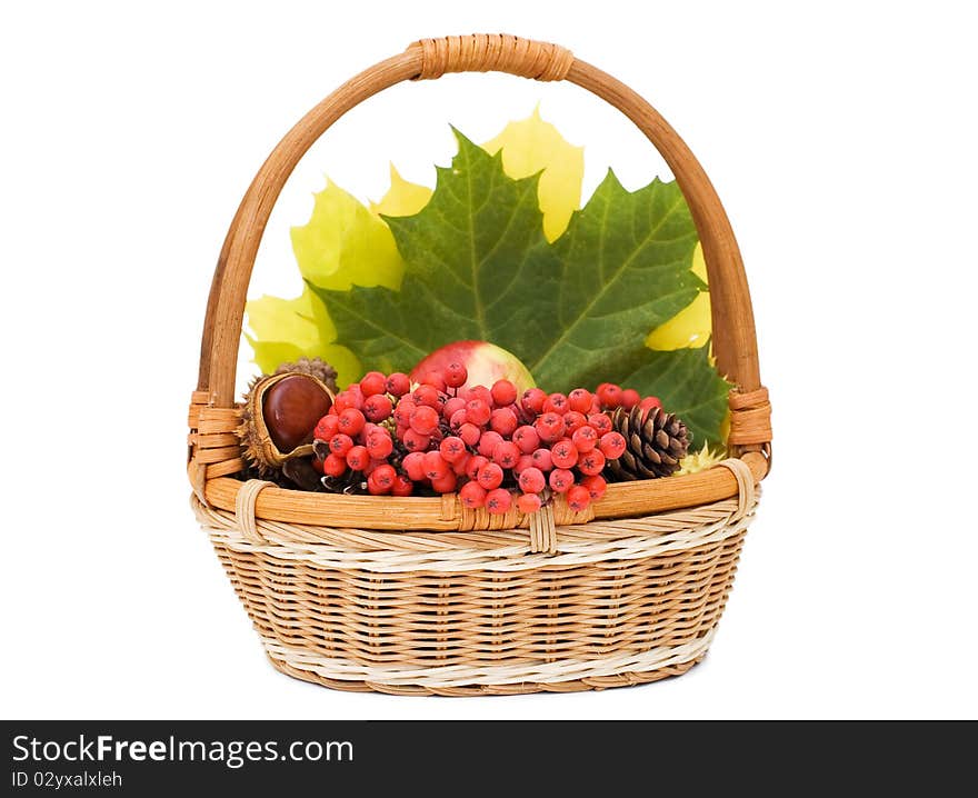 Autumn leaves and fruits in basket