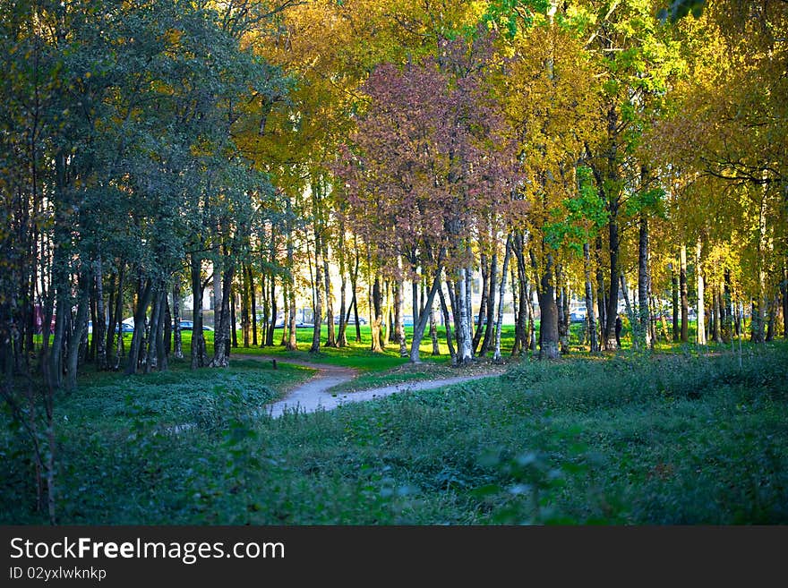 Autumn landscape, trees in wood