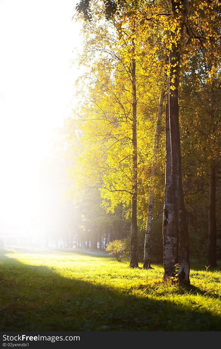 Autumn Landscape