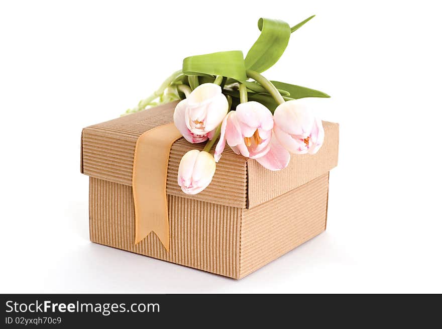 Box of gift and pink tulips. Box of gift and pink tulips