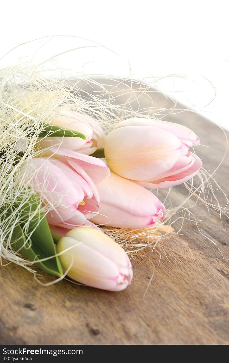 Pink flowers on wooden background. Pink flowers on wooden background