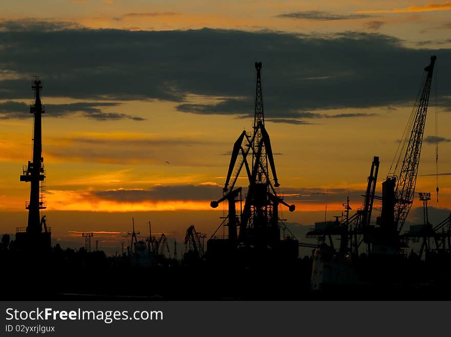 Silhouettes of cranes in the port