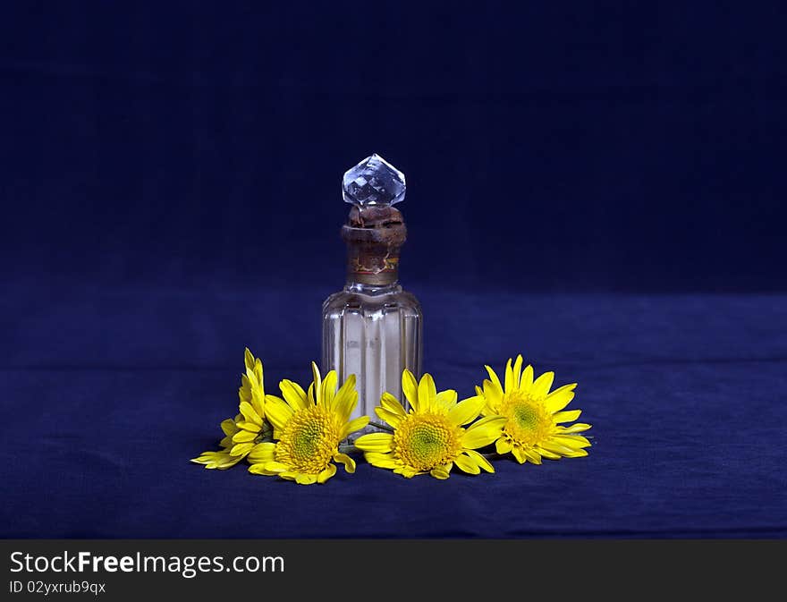 Arrangement of flowers and a perfume bottle on blue. Arrangement of flowers and a perfume bottle on blue