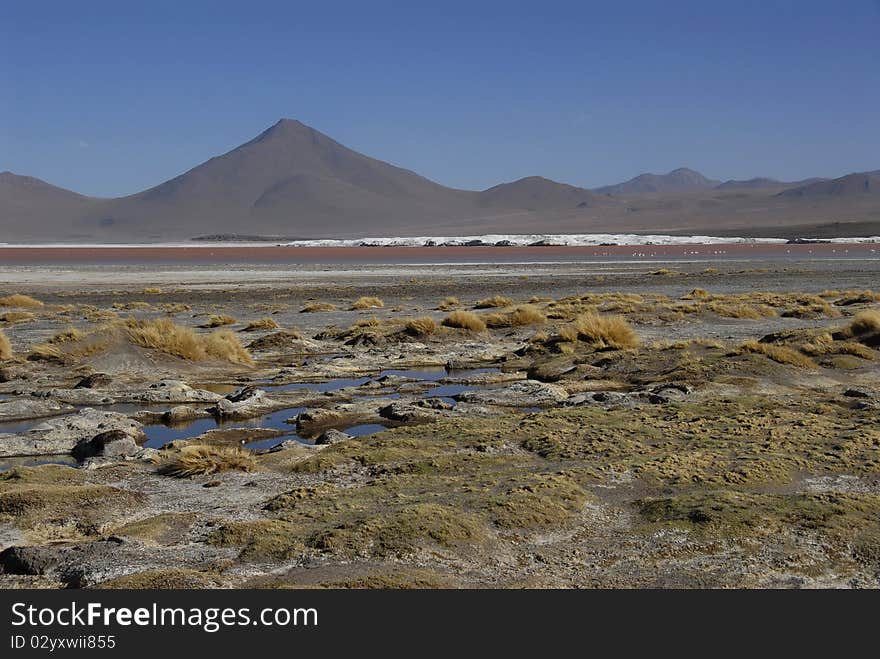 Laguna Colorada