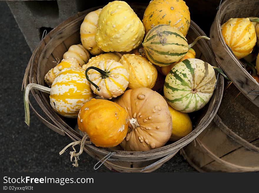 Basket of gourds