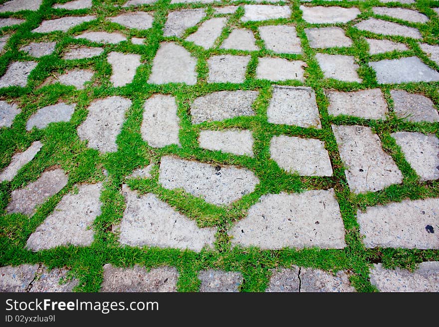 Both pattern of free from marbeg and green grass in walk way. Both pattern of free from marbeg and green grass in walk way