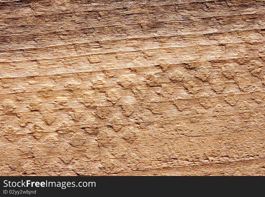 Wood background with the rough texture of the tree.