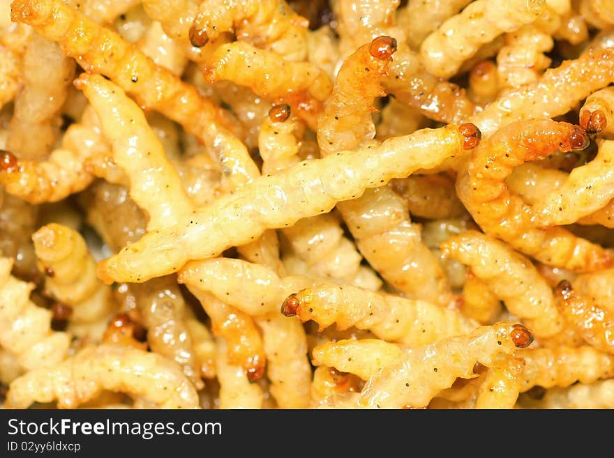 Close up shot of fry bamboo worms it can eat and high protein.