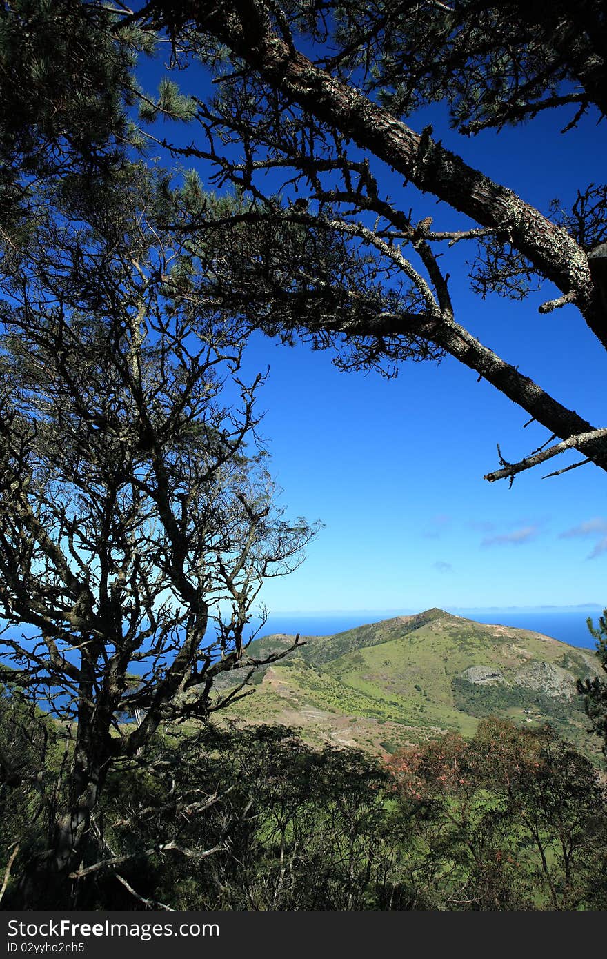 Looking out from the forests at Thompsons Wood onto the lush countryside scenery of Man and Horse hill on the west side of St Helena Island. Looking out from the forests at Thompsons Wood onto the lush countryside scenery of Man and Horse hill on the west side of St Helena Island.