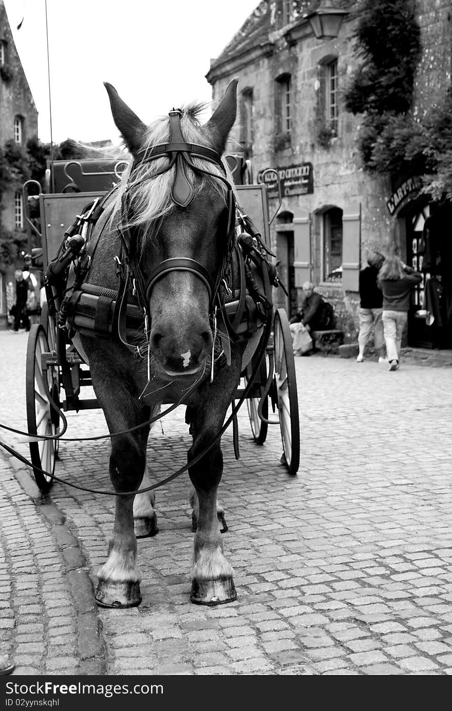 Horse in the main square of Locronan, a medieval village in Brittany, northern France. Horse in the main square of Locronan, a medieval village in Brittany, northern France.