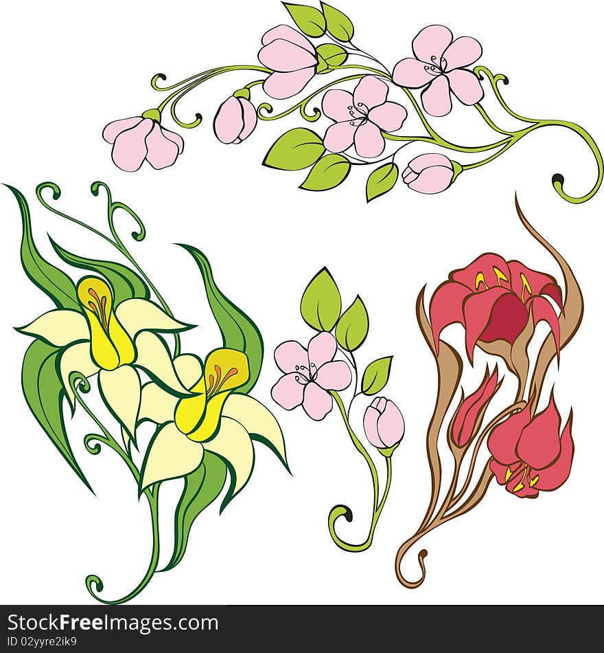 Set of flowers. Illustration for design. No gradients.