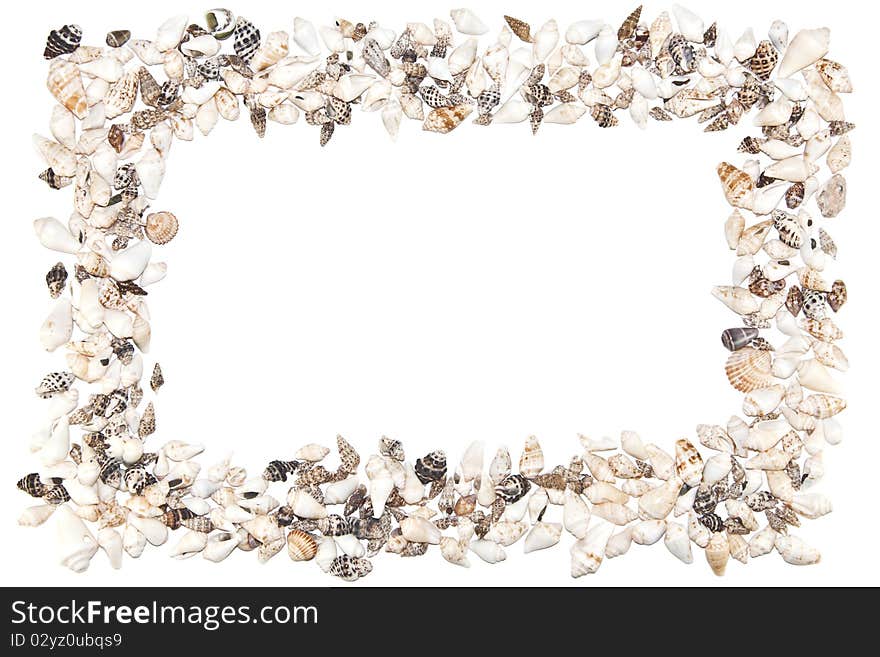 Shell frame on a white background