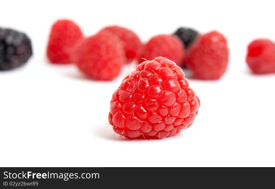 Red raspberry