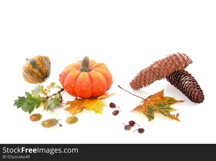 Squashes and autumn leaves isolated on white background