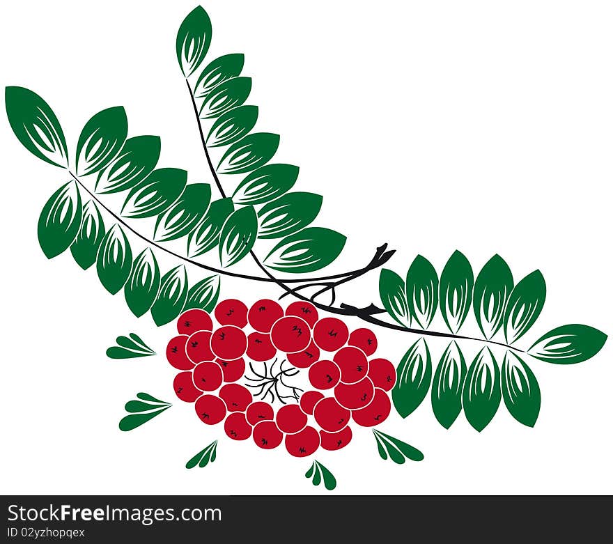 Decorative Rowan-berry branch for ornaments. Decorative Rowan-berry branch for ornaments