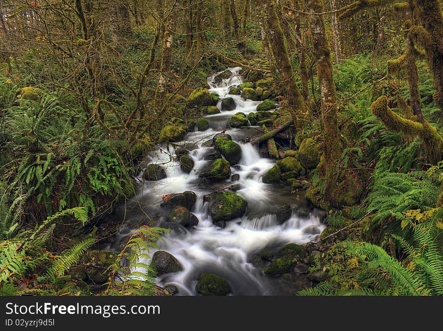 Forest creek running under the forest road somewhere along rock creek north of Stevens