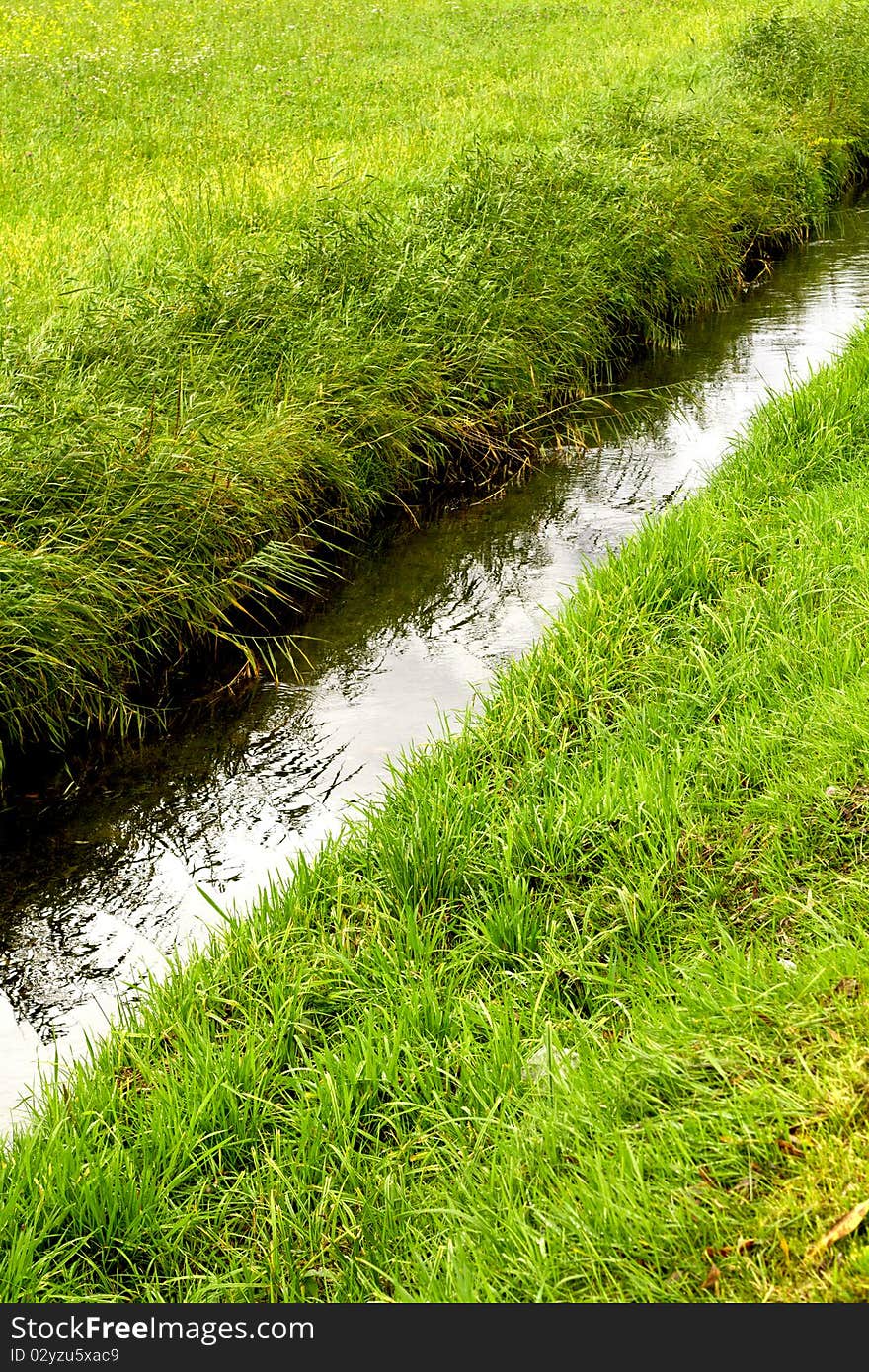 Channel between the two meadows with green grass