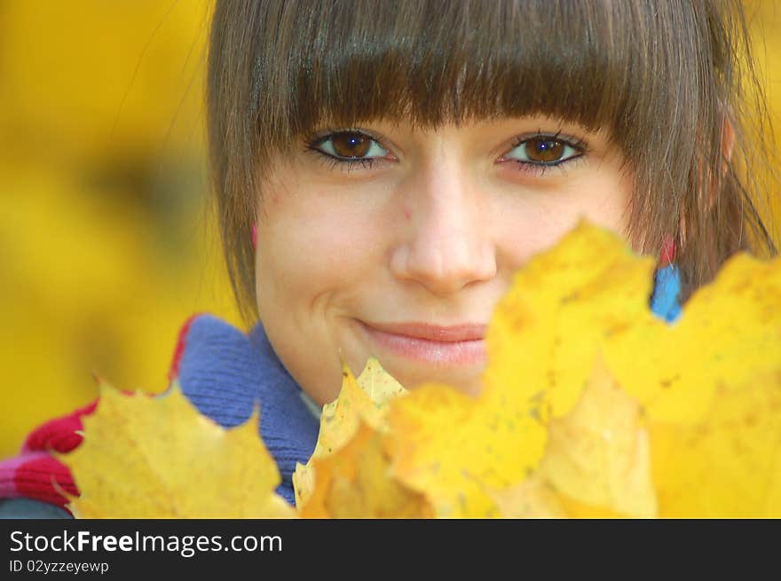 A girl hidden behind maple autumn leaves. A girl hidden behind maple autumn leaves