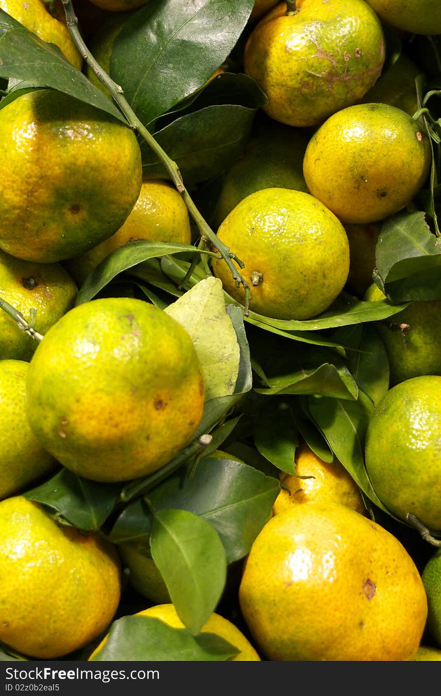 Fresh orange with leaf in stack