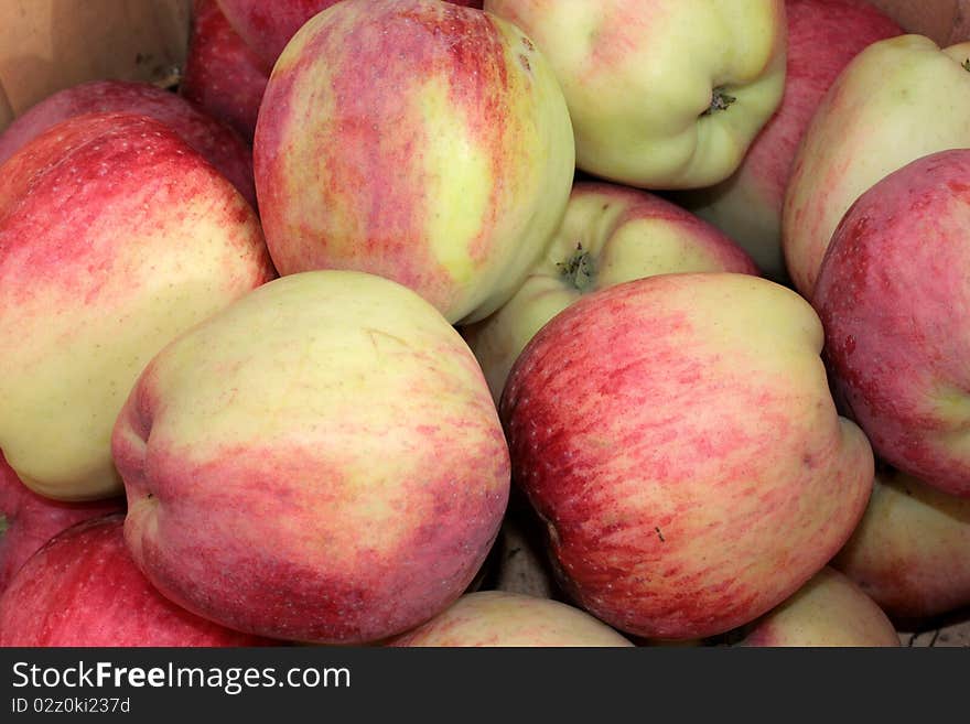 Basket of harvested Liberty apples. Basket of harvested Liberty apples