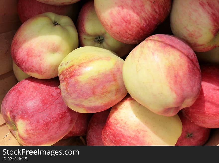 Basket of Apples