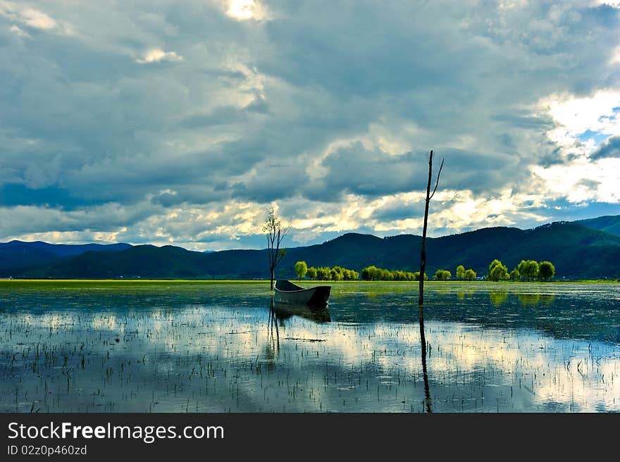 Lijiang in yunnan, the wetland nature reserve, with the name sea of lashi. Winter is a bird of paradise.