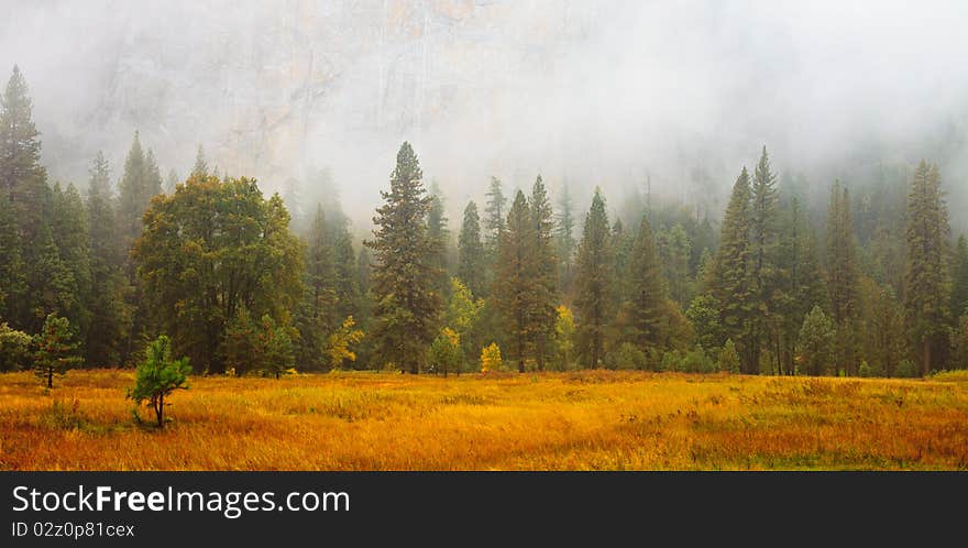 Mist ona rainy day in Yosemite National Park, California. Mist ona rainy day in Yosemite National Park, California.