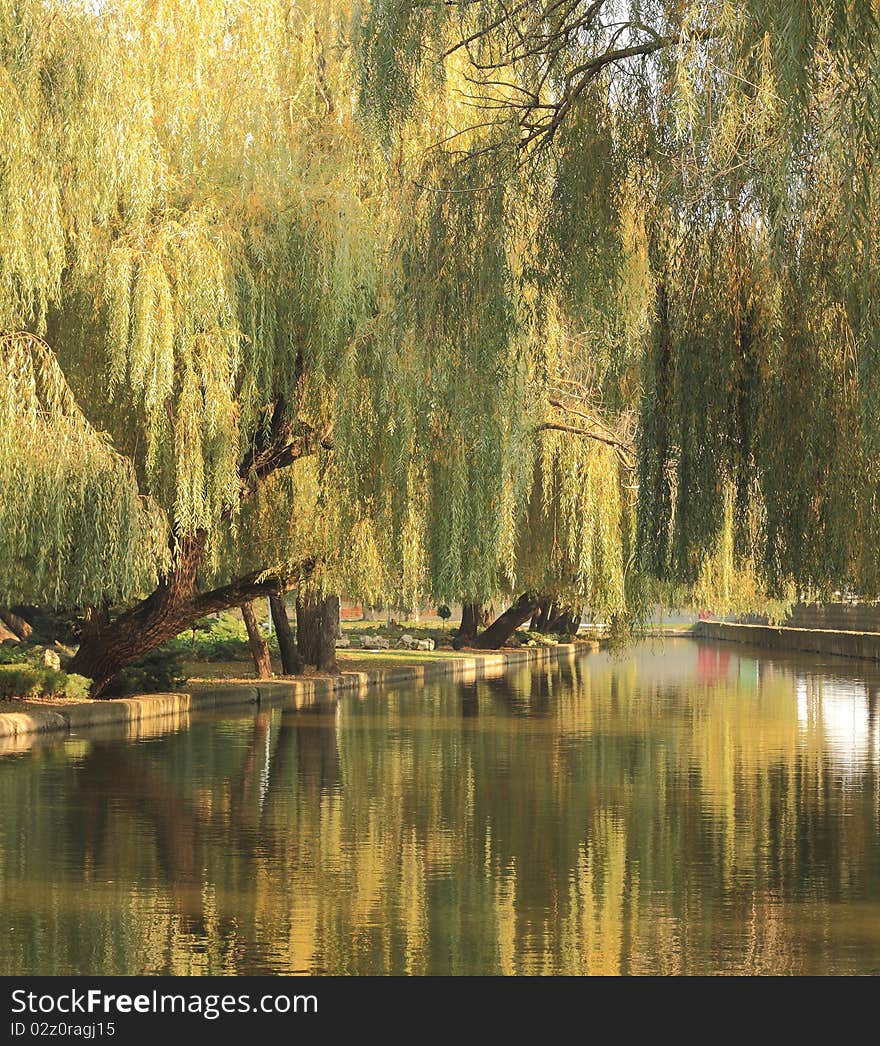 Pond fall in a city park